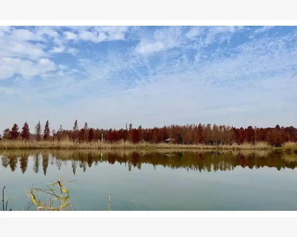 吃什么补血补气？中医传授食物秘方，匠心独运！