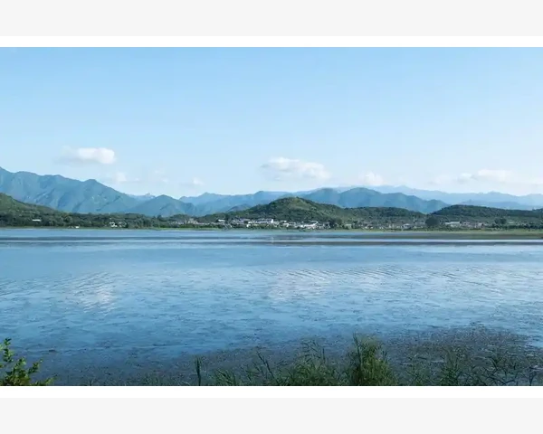 姜咸菜：驱寒的营养尤物