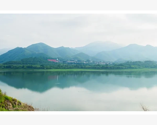 中医经验调理月经不调，重拾女性健康之路